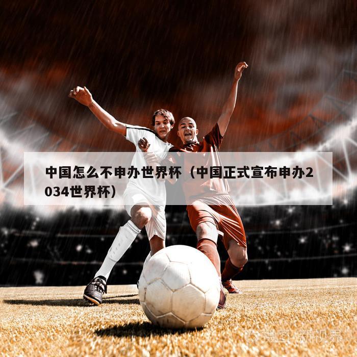 中国怎么不申办世界杯（中国正式宣布申办2034世界杯）